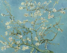 Van Gogh Almond blossom Giclee Fine Art Print on Canvas Wall Art 48"