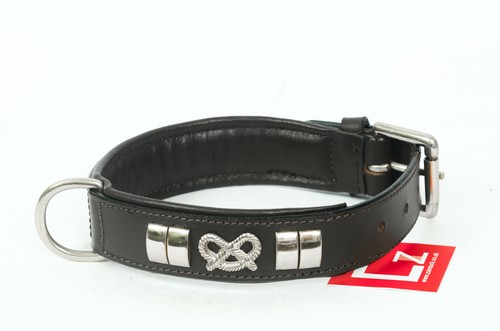 COLLAR DE PERRO PEQUEÑO DE CUERO STAFFORDSHIRE ACOLCHADO, LATÓN CROMADO Y NUDO STAFFY - Imagen 15 de 23