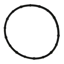 Engine Coolant Thermostat Seal Fel-Pro 36007