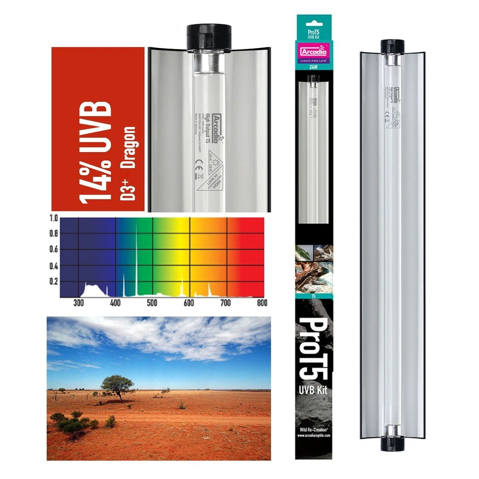 Arcadia Pro T5 D3+ UVB Kit 14% Dragon 22 Inch 24w ProT5