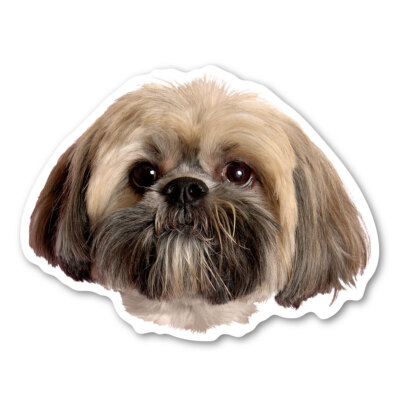 Lhasa Apso Magnet