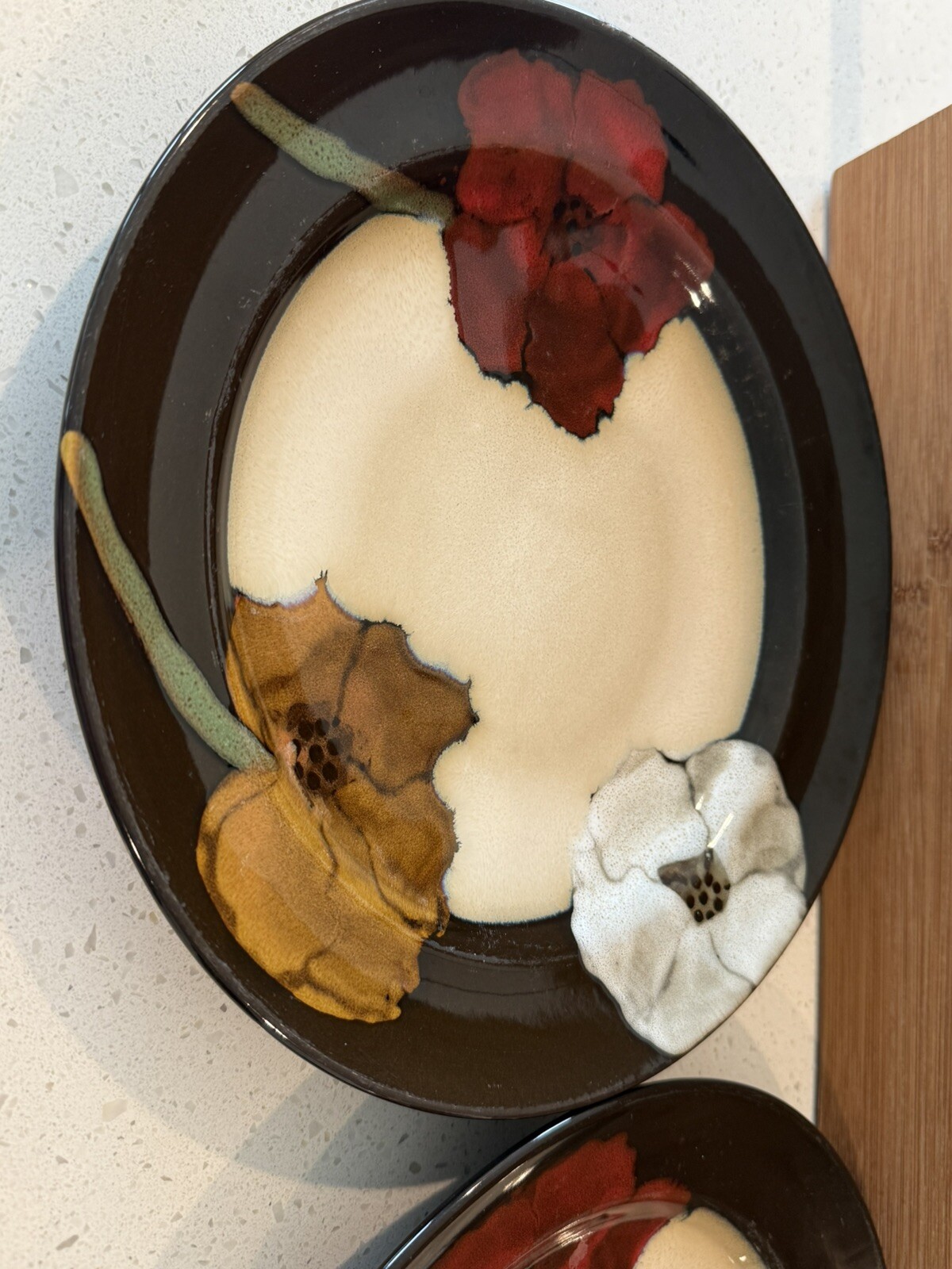 Pfaltzgraff Painted Poppies 11.25 Inch Dinner Plates Set of 2