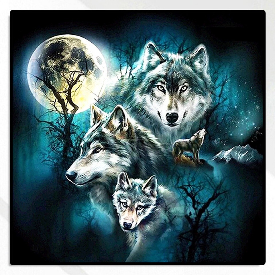 Oil Paint By Numbers Picture DIY Drawing Painting Night Wolf Drawing on