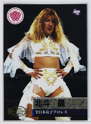 AKIRA HOKUTO - 1995 BBM Pro-Wrestling Trading Card | eBay