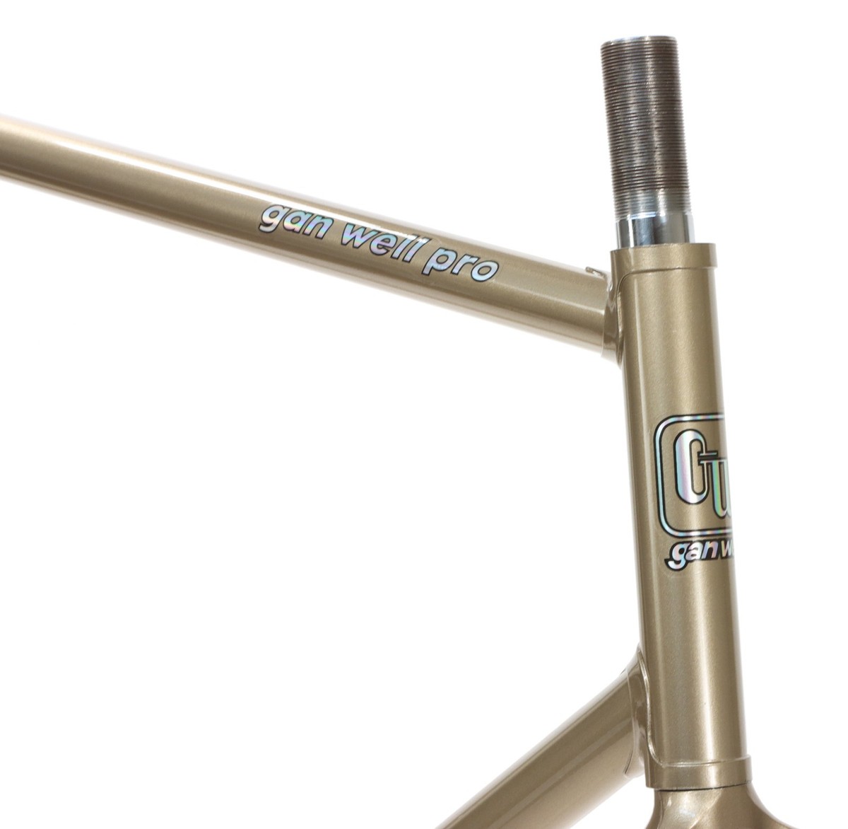 Gan Well Pro Track Fixed Gear Frameset NJS Gold 57cm 55cm TT New