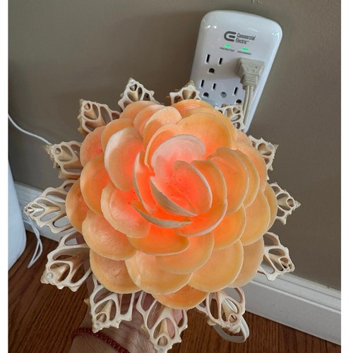Vintage Natural Seashell flower Lamp Night Light Shell 6.5” retro nautical Mcm - Picture 12 of 14