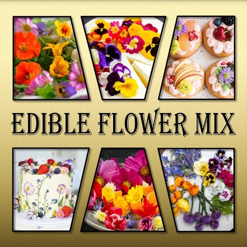 VEGETABLE SEED PACK-RARE HERBS-SPICES-EDIBLE FLOWERS-ASIAN KITCHEN GARDEN PLANTS - Picture 4 of 24