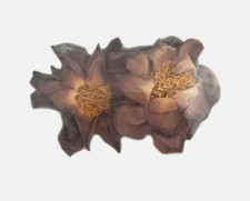 Whole Sacred Pink Lotus Flower Double Packs Nelumbo nucifera Egyptian Organic