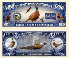 OUR SOUTH DAKOTA RING-NECKED PHEASANT NOVELTY NOTES (25 EA)