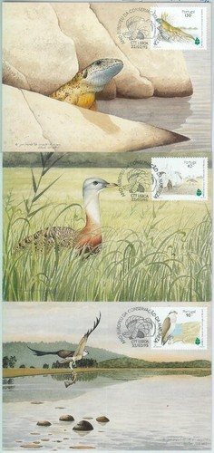 81351 - PORTUGAL - Postal History - set of 3 MAXIMUM CARD - REPTILES birds 1995 - Picture 1 of 1