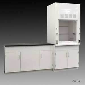Fisher American 3' Fume Hood w/ General Storage &5' Laboratory Cabinet / E2-213
