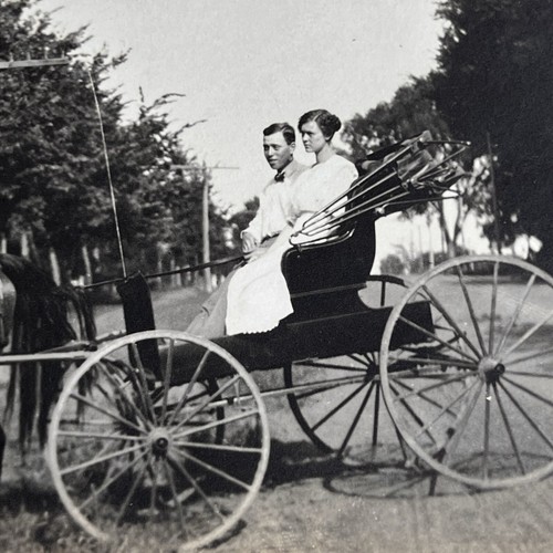 Antike RPPC Echt Foto Postkarte Paar Mann Frau Pferd gezogen Buggy - Bild 4 von 10