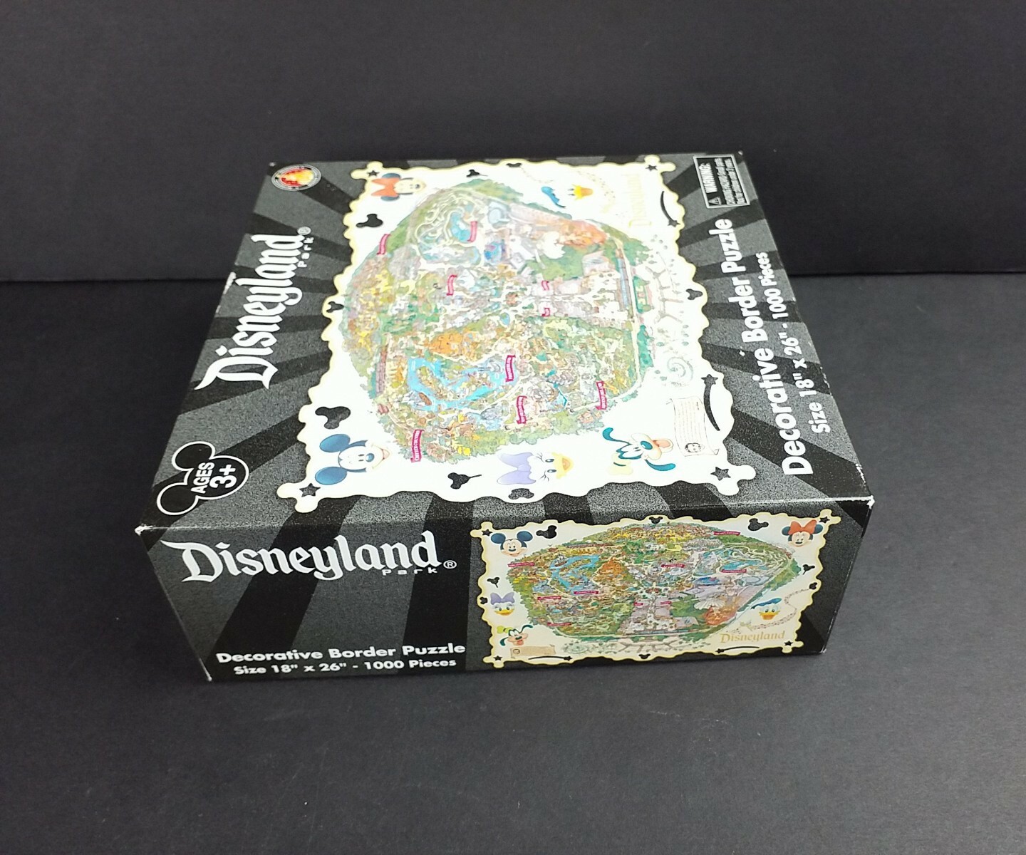 Disneyland Park Decorative Border Puzzle 18" x 26" 1000 Piece 100