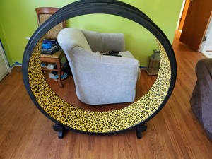 one fast cat discount