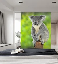 3D Gray Cute Koala K409 Animal Wallpaper Mural Self-adhesive Removable Kay