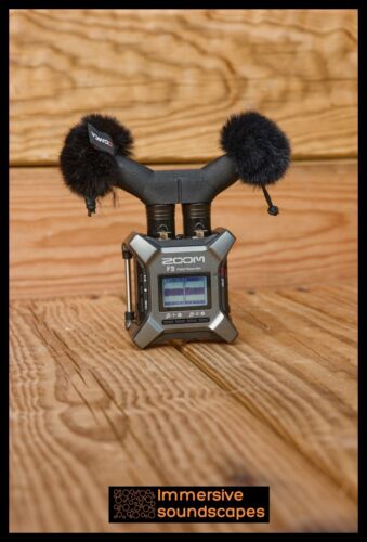 EARSIGHT The One (für Zoom F3 & MixPre) - Stereo Field Recording Mikrofon - Bild 2 von 7
