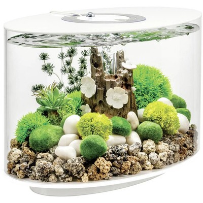 OASE Aquarium Fischbecken biOrb LOOP 15 LED weiß Acryl Innen komplettset Filter
