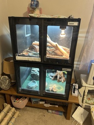 Black Multi-Compartment Reptile Enclosure, 24in x 24in x 18in Glass Doors