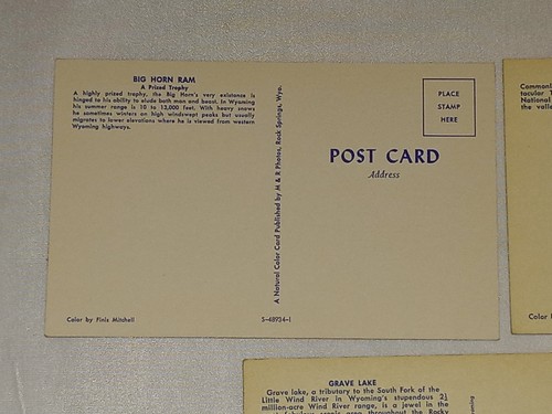 3 Wyoming Wildlife Postcards Western United States Unposted - Bild 7 von 8