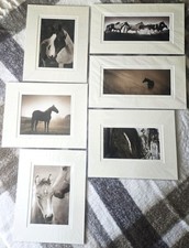 Shane Knight Equine Photographs, Set of 6 Signed, Dated 2001-2006