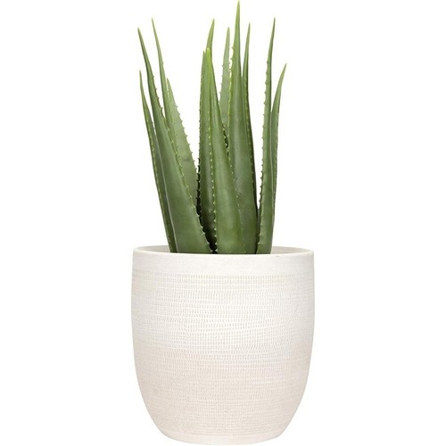 Large Matte White Embossed Stoneware Planter Minimalist Indoor Home Decor Pot US - Picture 5 of 5