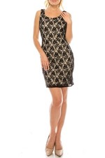 Adrianna Papell Beaded Lace Bodycon Dress Black/nude