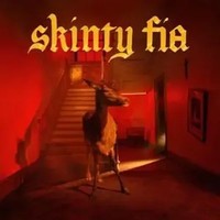 Skinty Fia | Fontaines D. C. | Englisch | Audio-Cd | Cd | 2022 | Integral
