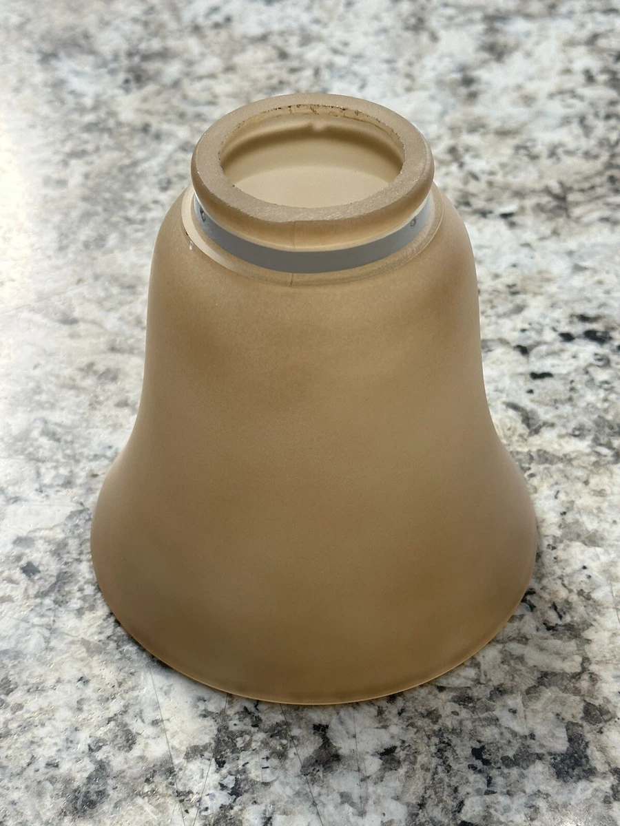 Replacement Globes For Hampton Bay Ceiling Fans Shelly Lighting