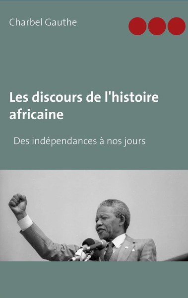 Les Discours De L'histoire Africaine Des IndéPendances à Nos Jours Gauthe Buch-image