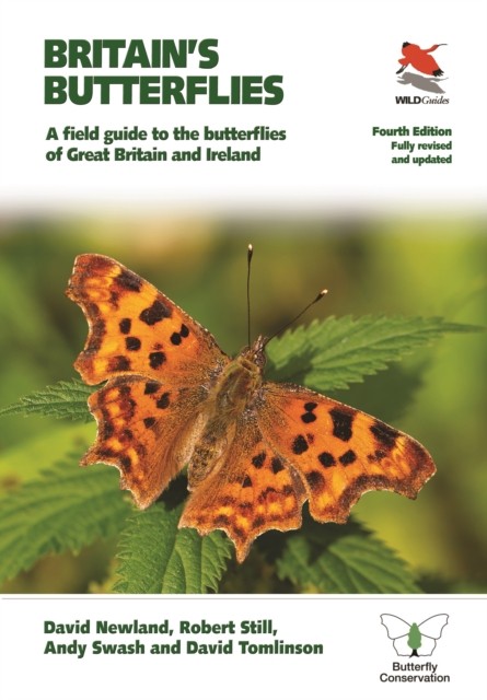 Britain's Butterflies by Andy Swash (Paperback Book)