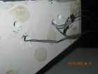 Bild 8 von 9