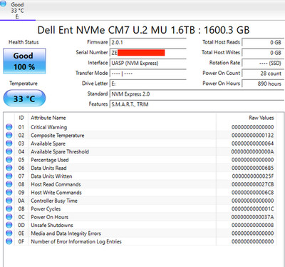 Dell 1.6TB NVMe U.2 SSD   PCIe Gen 4 High-End Enterprise