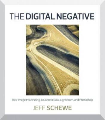 The Digital Negative: Raw Image Processing in Lightroom, Camera Raw, - VERY GOOD