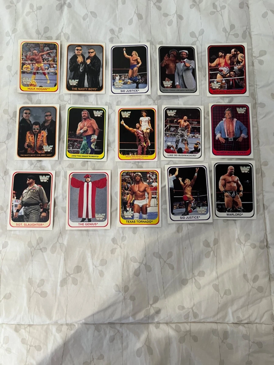 1991 WWF Wrestling Trading Cards for sale | eBay