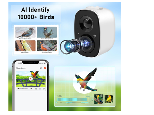 Smart Bird Feeder with Camera, Solar-Powered WiFi 1080P Bird Watching Camera - Picture 11 of 17