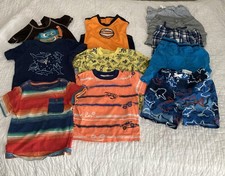 Boys 24M Summer Lot. 6 Shirts 5 Shorts Including 1 Swim Trunk top