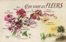 CP CE QUE DISENT LES FLEURS ROSE OEILLET IRIS MYOSOTIS LILAS ... - 16594