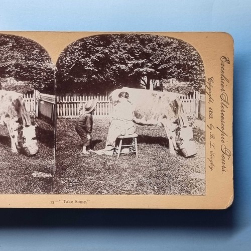 Victorian Rural Stereoview C1893 Lady & Child Real Photo Hand Milking Cow