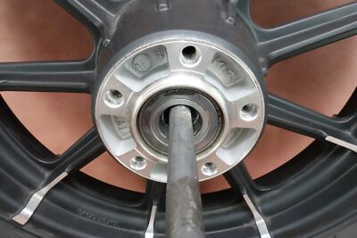 2009-2021 Harley Davidson Iron 883 XL883N Rear Wheel Rim