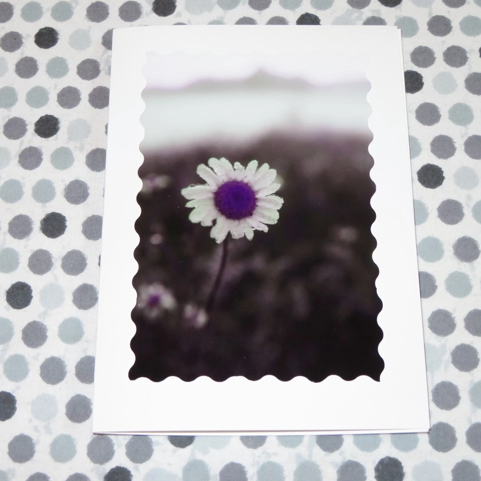 GET WELL SOON Purple Flower Photo Cards, 5X7 cards, Floral, set of 5 - Изображение 3 из 4