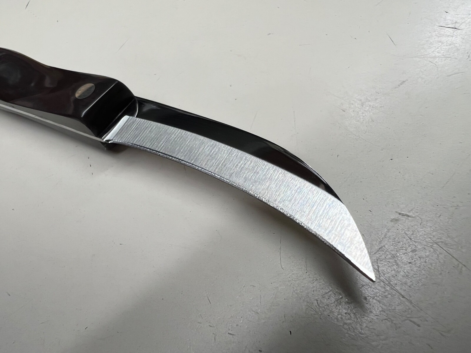 CUTCO CLASSIC HANDLE 3120 BIRD BEAK PARING KNIFE USA NICE eBay