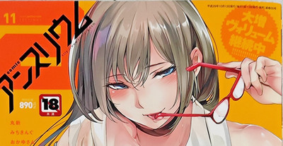 Comic Anthurium 2017-11 - Manga Magazine Japanese 4 +400 paginas [26-05]