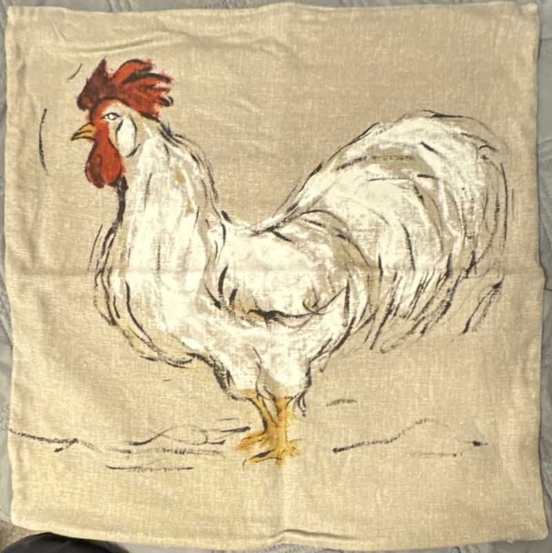 Pottery Barn Linen Blend Pillow Covers 20x20 Set of 2 Neutral Farmhouse Rustic