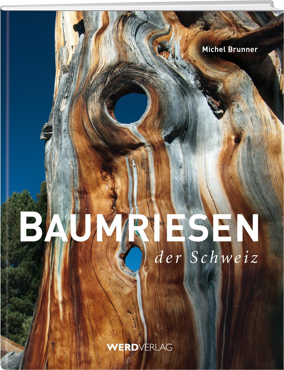Thumbnail - Baumriesen Der Schweiz Michel Brunner