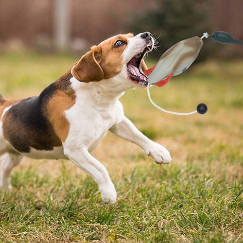 Duck Dummy Bumper Toys for Hun ting Retriever Dog Training, Game Sale - Picture 10 of 12