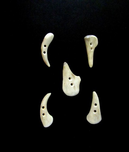 ANTLER BUTTONS,1 1/4"TOGGLES,TINES,5 ODD HOOKED PIECES,3/32" HOLE,114-53 - Picture 4 of 4