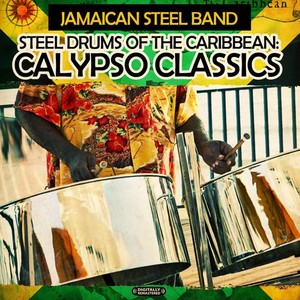 Calypso Drum | eBay