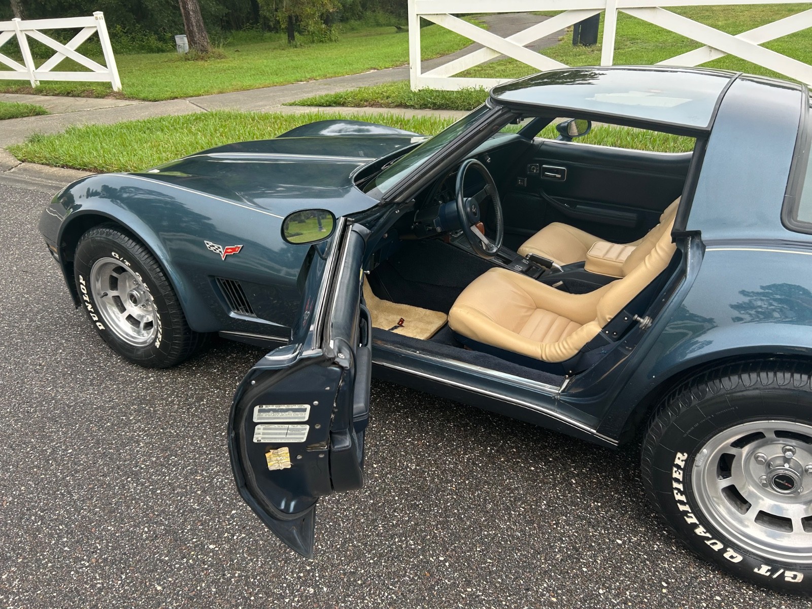 1980 Blue Chevrolet Corvette   | C3 Corvette Photo 10