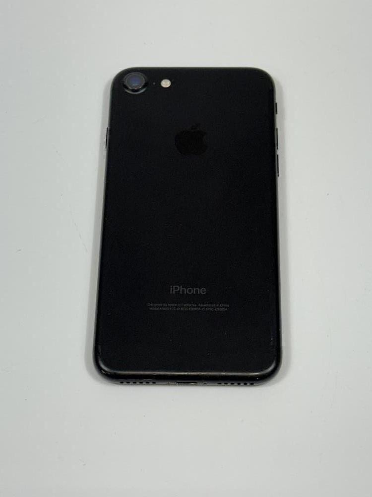 Picture 3