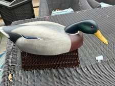 Frederic C. Brown Vintage investment quality Mallard Drake decoy 1979